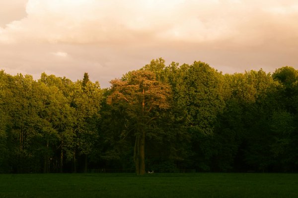 comment prévenir et traiter les douleurs aux hanches pendant la grossesse