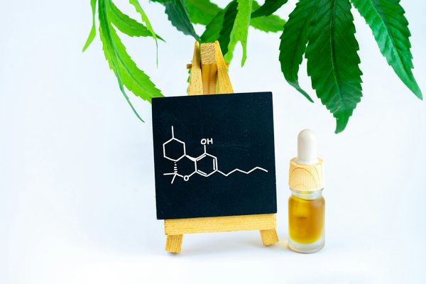 Comprendre les bienfaits du cbd pour votre bien-être